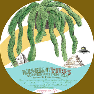 Niseko Vibes - Summer Mixtape 2021
