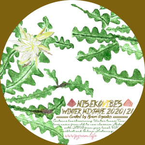 Niseko Vibes - Winter Mixtape 2020/21