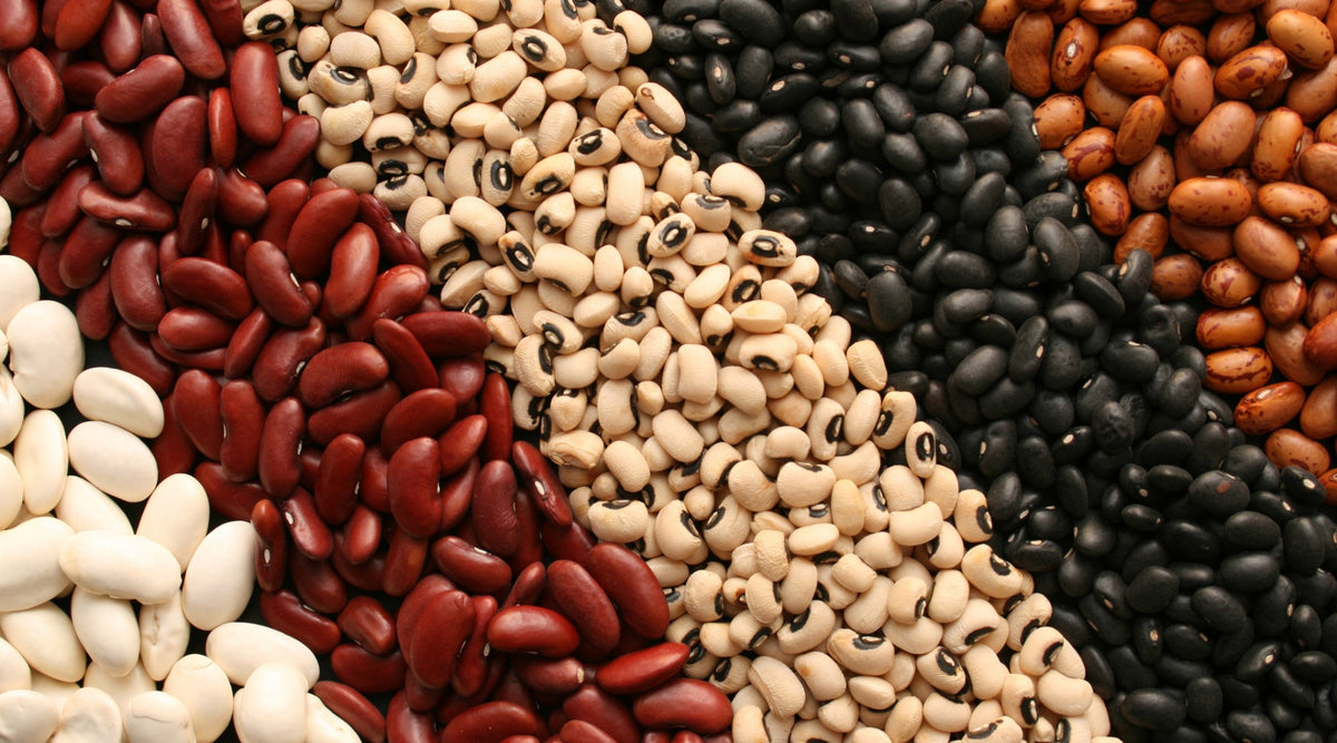 Beans – Pyram Organics