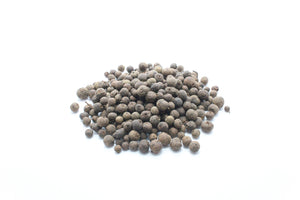 オールスパイス Allspice