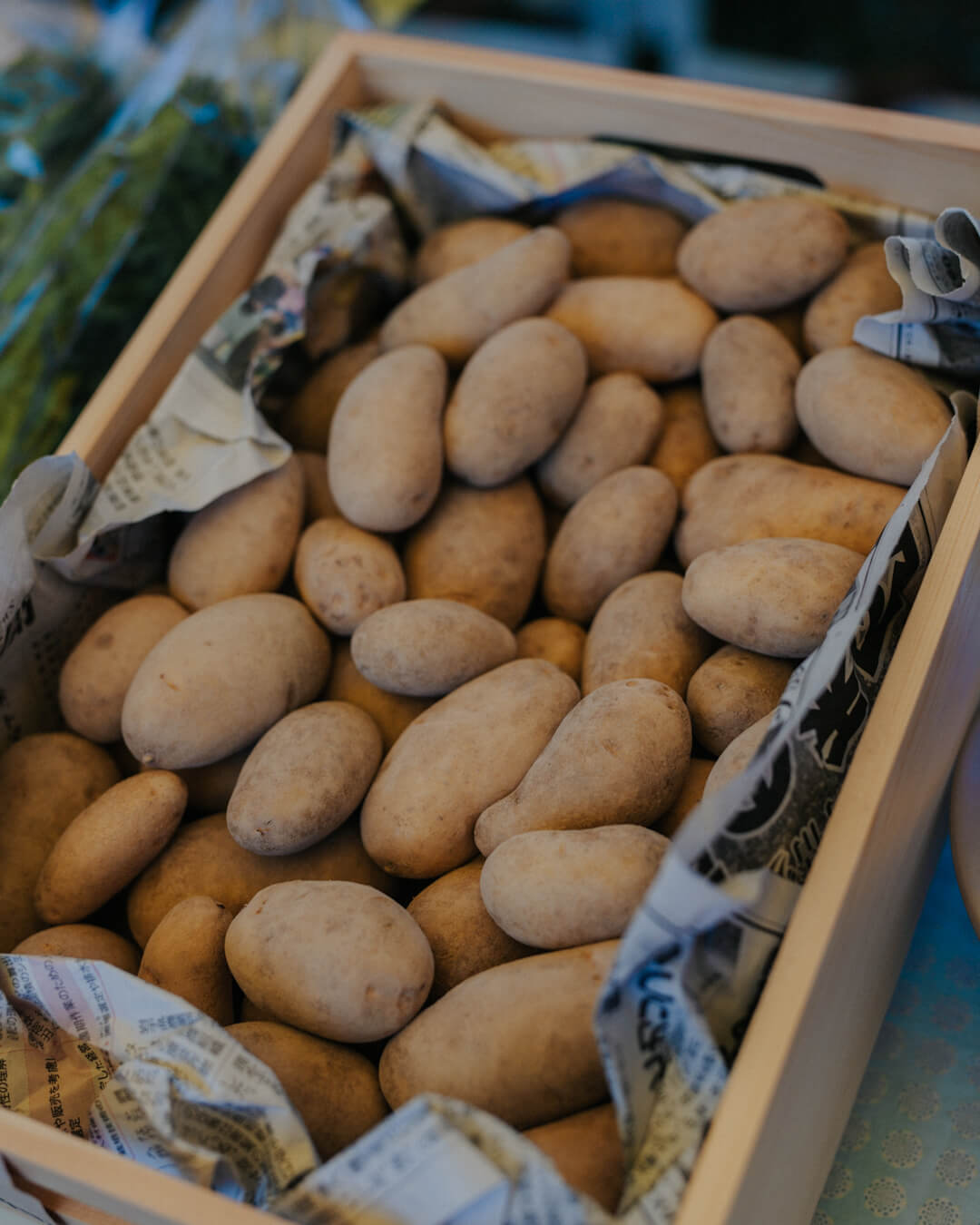 Farmer's Camp限定 オーガニック野菜詰め合わせBOX ＜北海道在住者限定＞