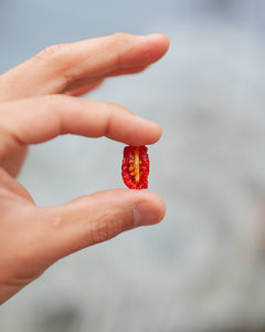 潮風香る ドライトマト Dried Tomatoes