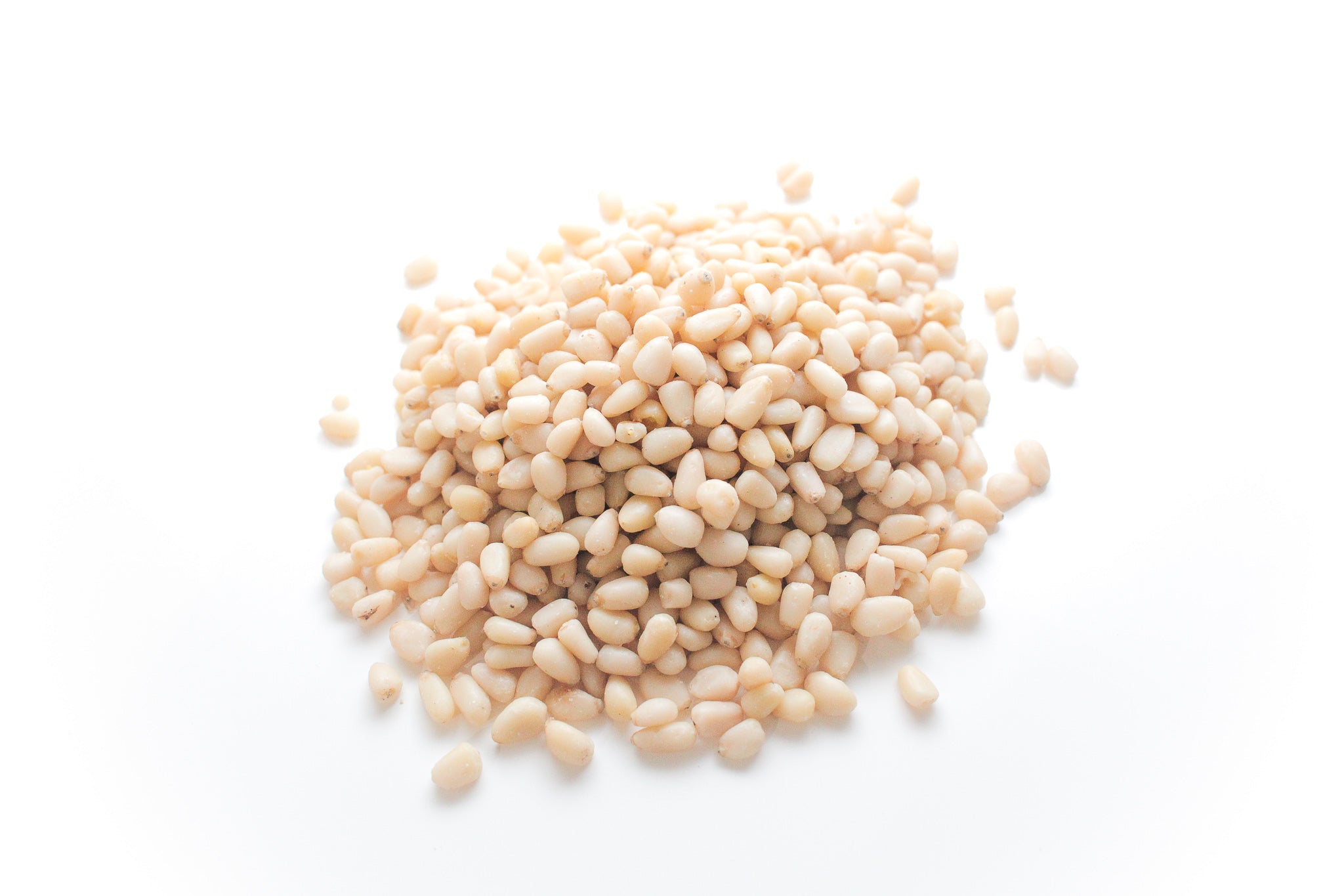 –　パインナッツ（松の実）Pine　Nuts　Plants　Pyram　Organics