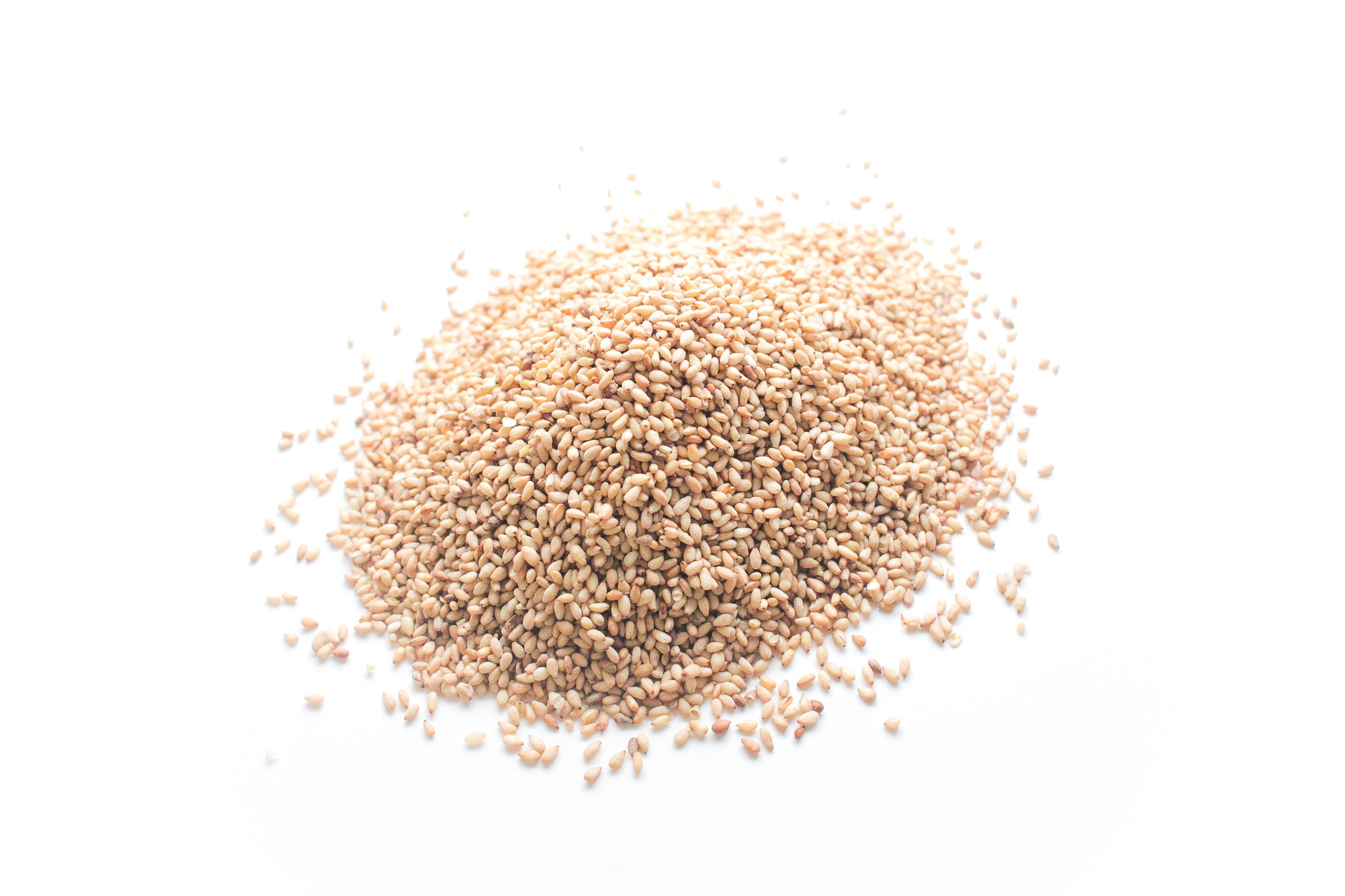 白いりごま Roasted White Sesame Seeds