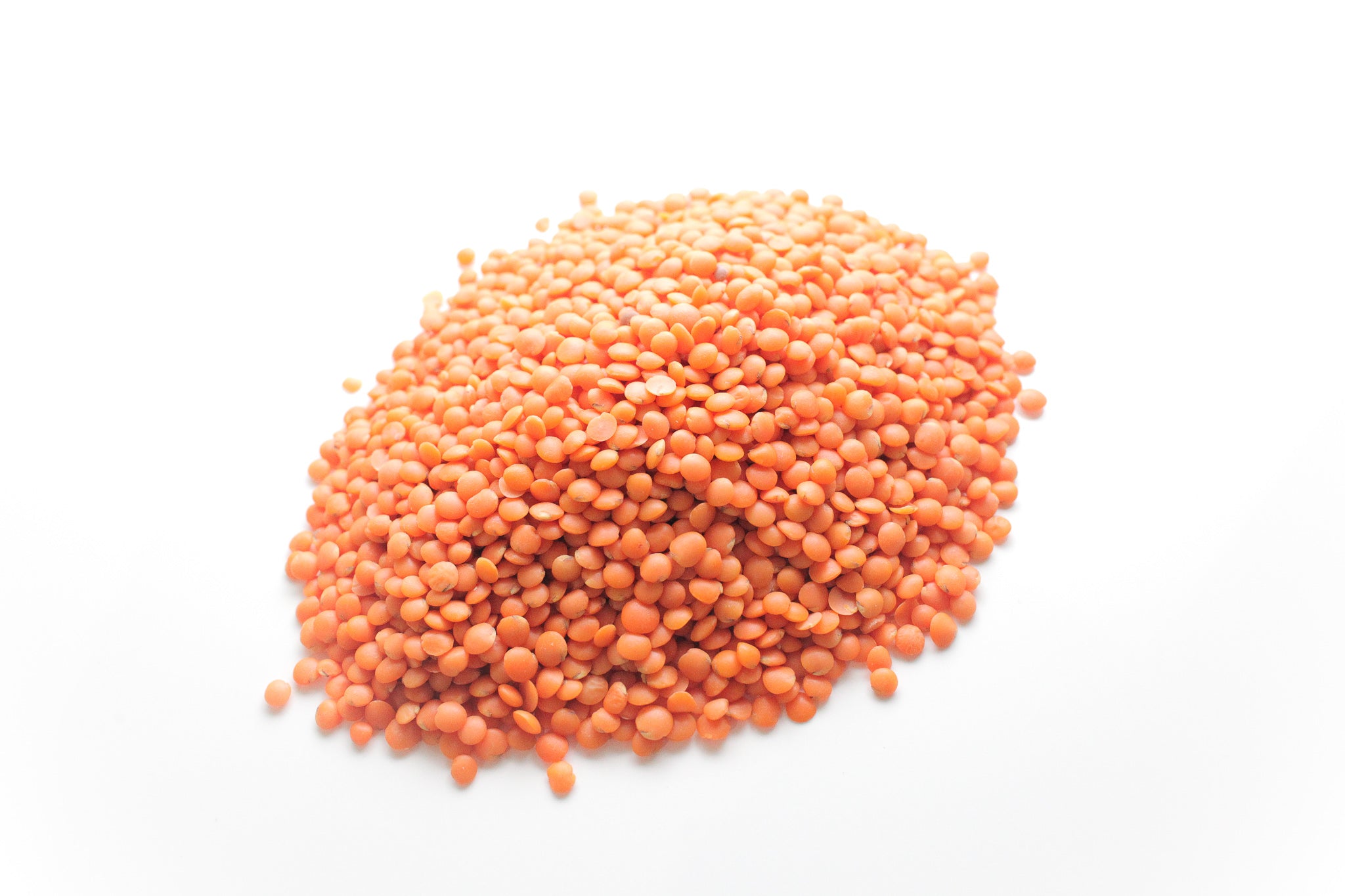 赤レンズ豆 Red Lentil