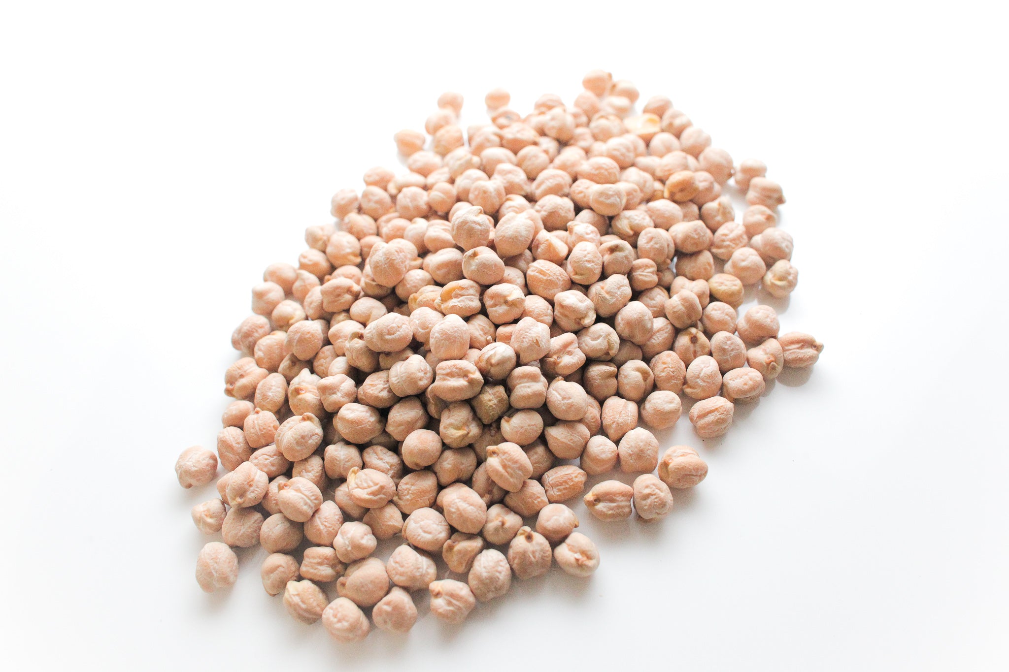 ひよこ豆　–　Pyram　Garbanzo　Peas)　Beans　(Chick　Organics　Plants