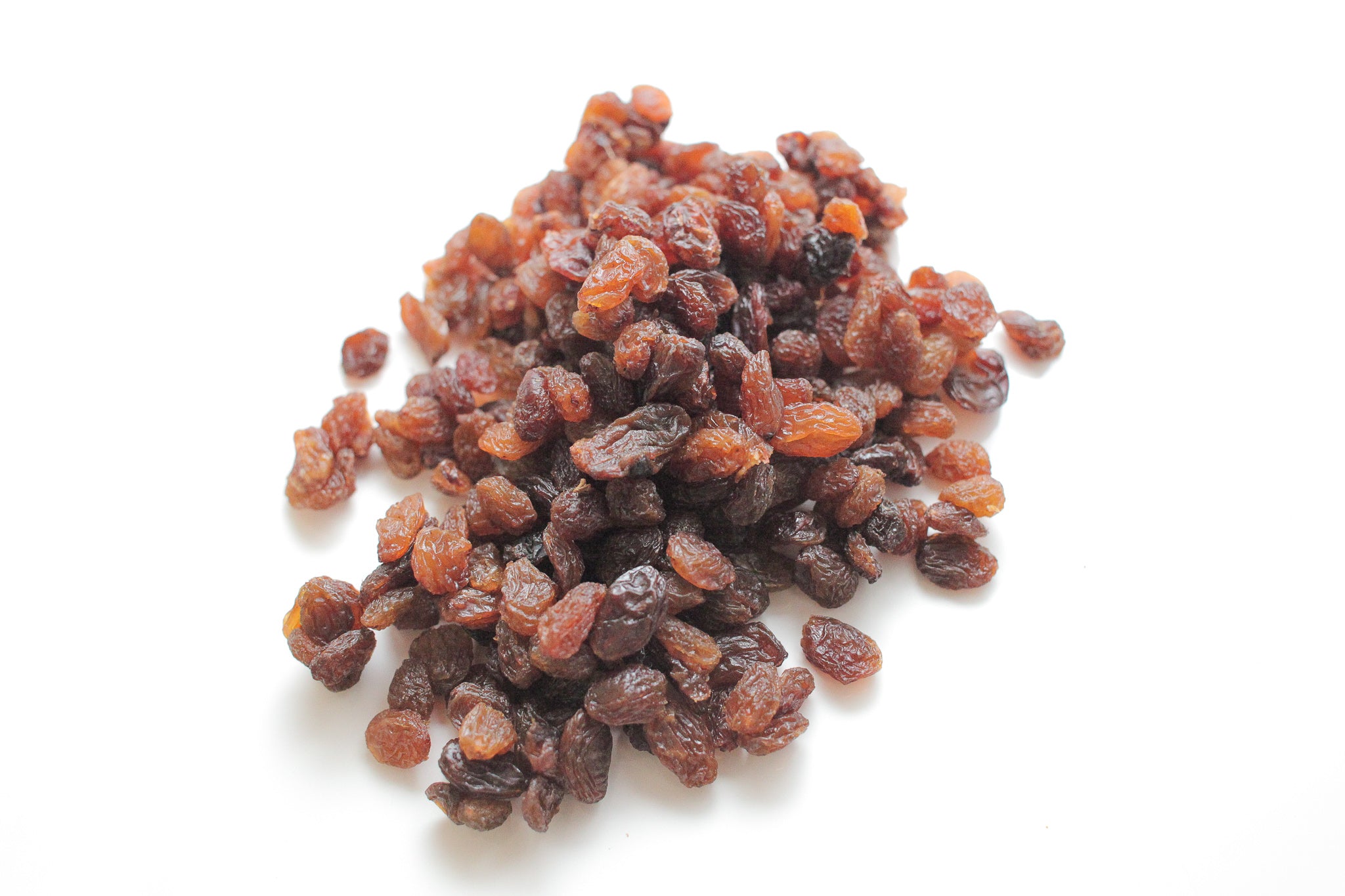 Sultana　–　Raisin　Organics　Plants　サルタナレーズン　Pyram