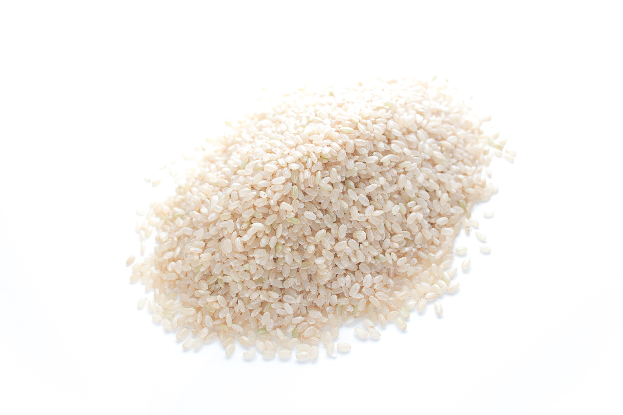 無農薬　Brown　玄米　–　Plants　北海道産　Organics　ななつぼし　Hokkaido　Rice　Pyram