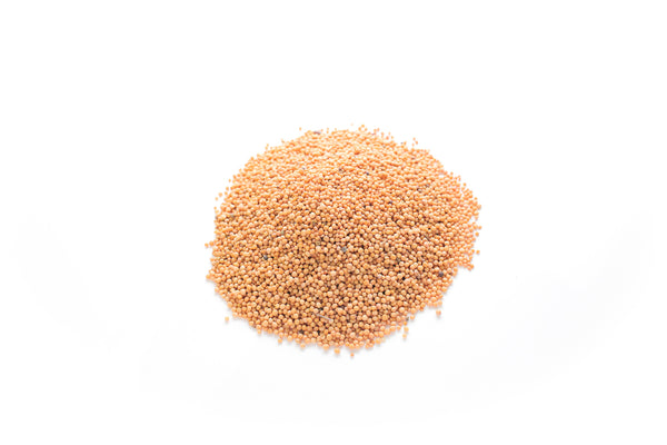 イエローマスタードシード Yellow Mustard Seeds – Pyram Organics