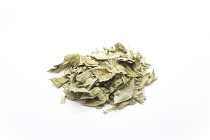 カレーリーフ Curry Leaves