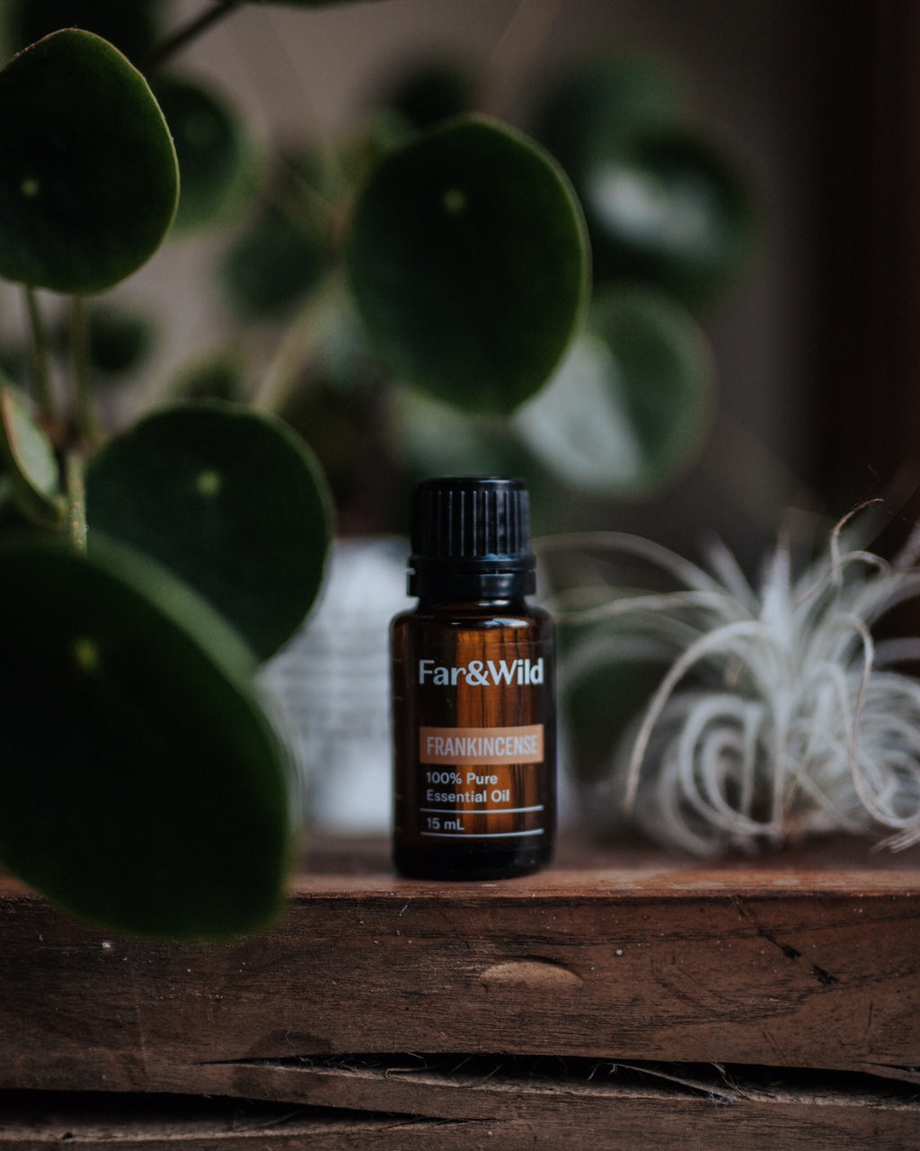 Far&Wild Essential Oil "Frankincense" 15ML エッセンシャルオイル（精油）「フランキンセンス」