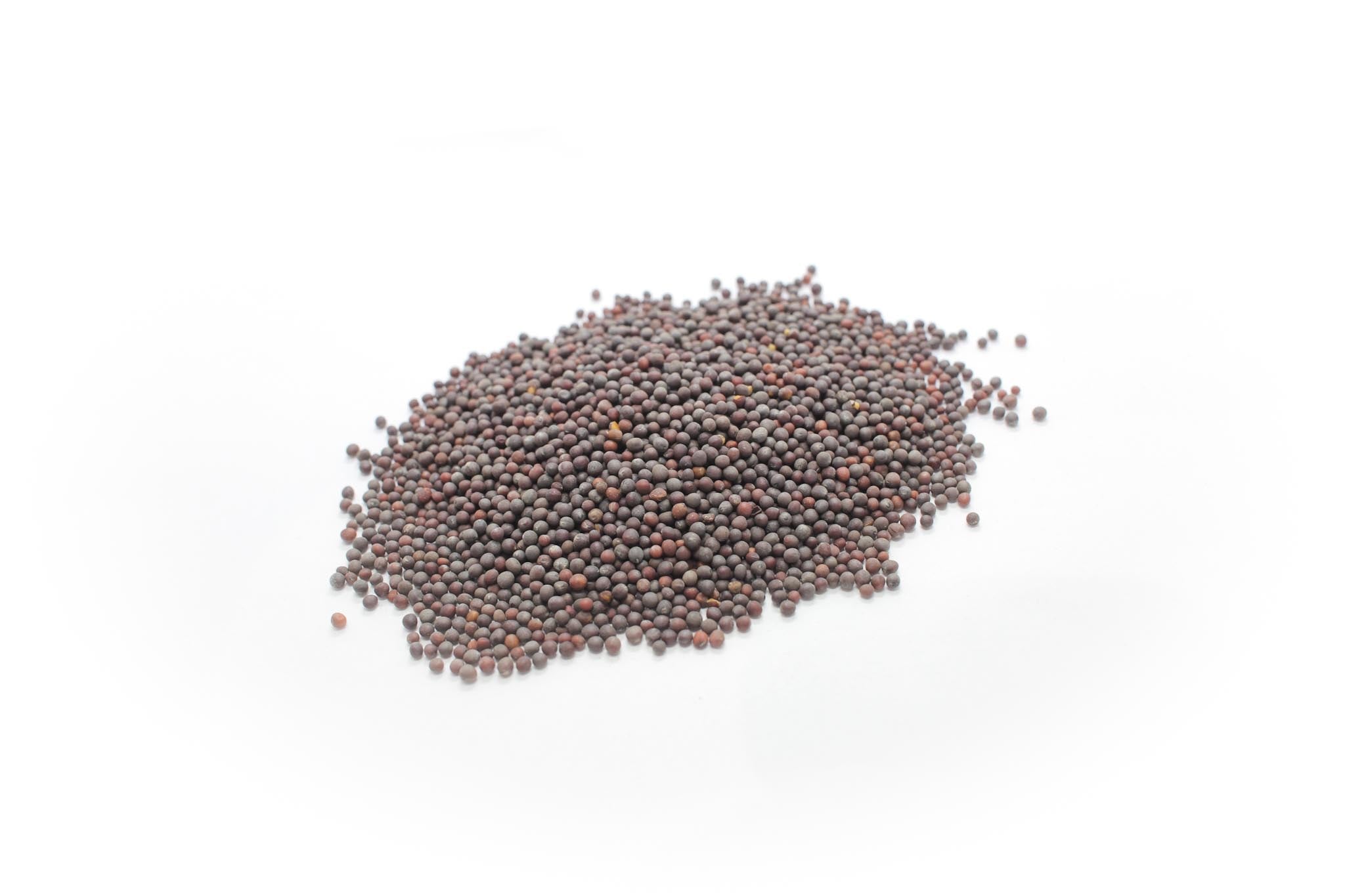 ブラウンマスタードシード Brown Mustard Seeds