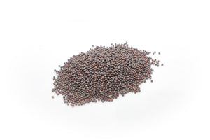 ブラウンマスタードシード Brown Mustard Seeds