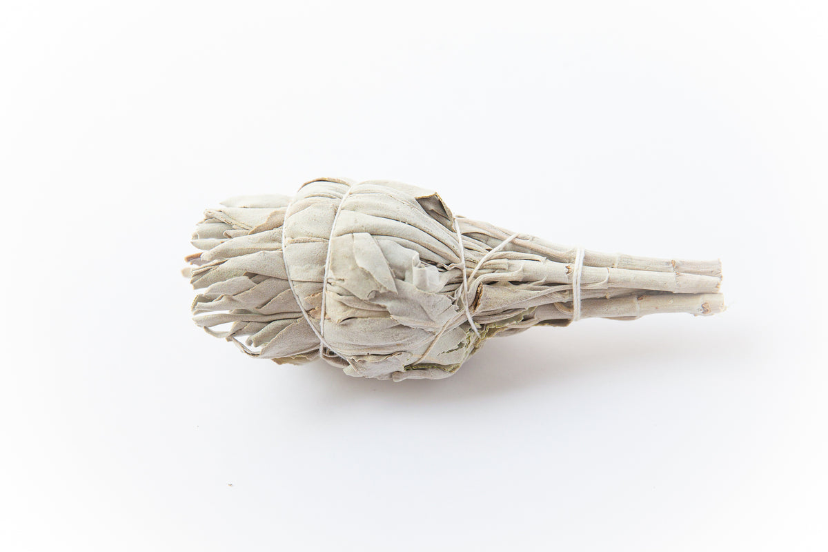 ホワイトセージ スマッジング バンドル White Sage Smudge Stick – Pyram Organics & Plants